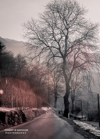 04k fotoart foto fotografie kunst composing bildbearbeitung blumen landschaft tiere portrait stil weithaler norbert